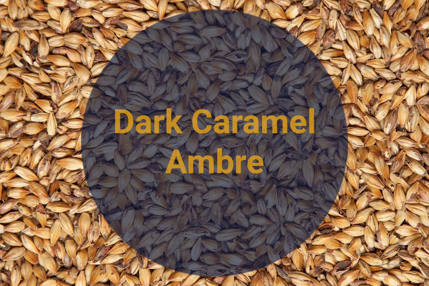 Солод Карамельный Янтарный Темный / Dark Caramel Ambre, 120-140 EBC (Soufflet), 1 кг