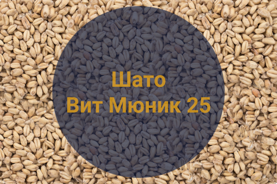 Солод Шато Вит Мюник 25 (Пшеничный) (Castle Malting), 1 кг