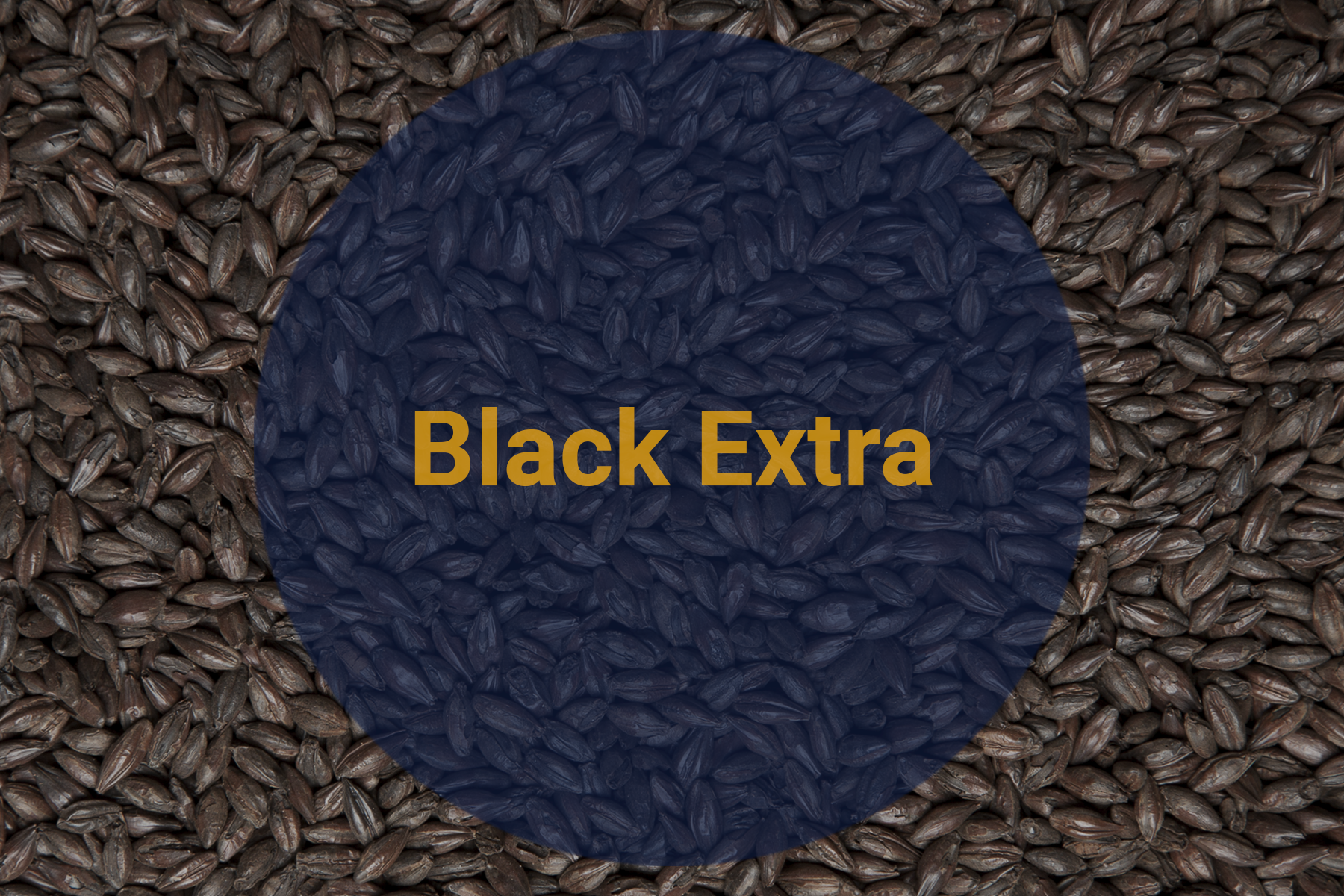 Солод Жженый Черный Экстра / Black Extra, 1400-1600 (Soufflet),1 кг