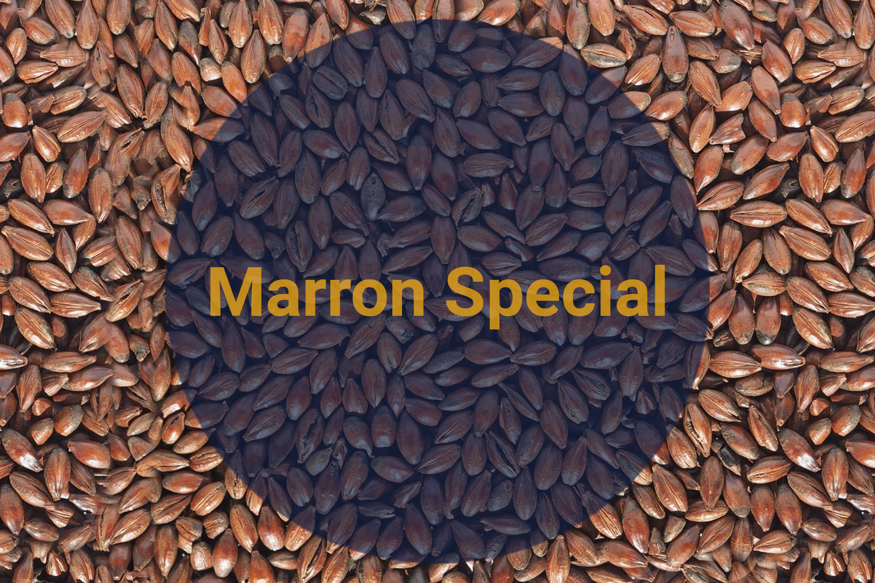 Солод Каштановый Специальный / Marron Special, 270-320 EBC (Soufflet), 1 кг
