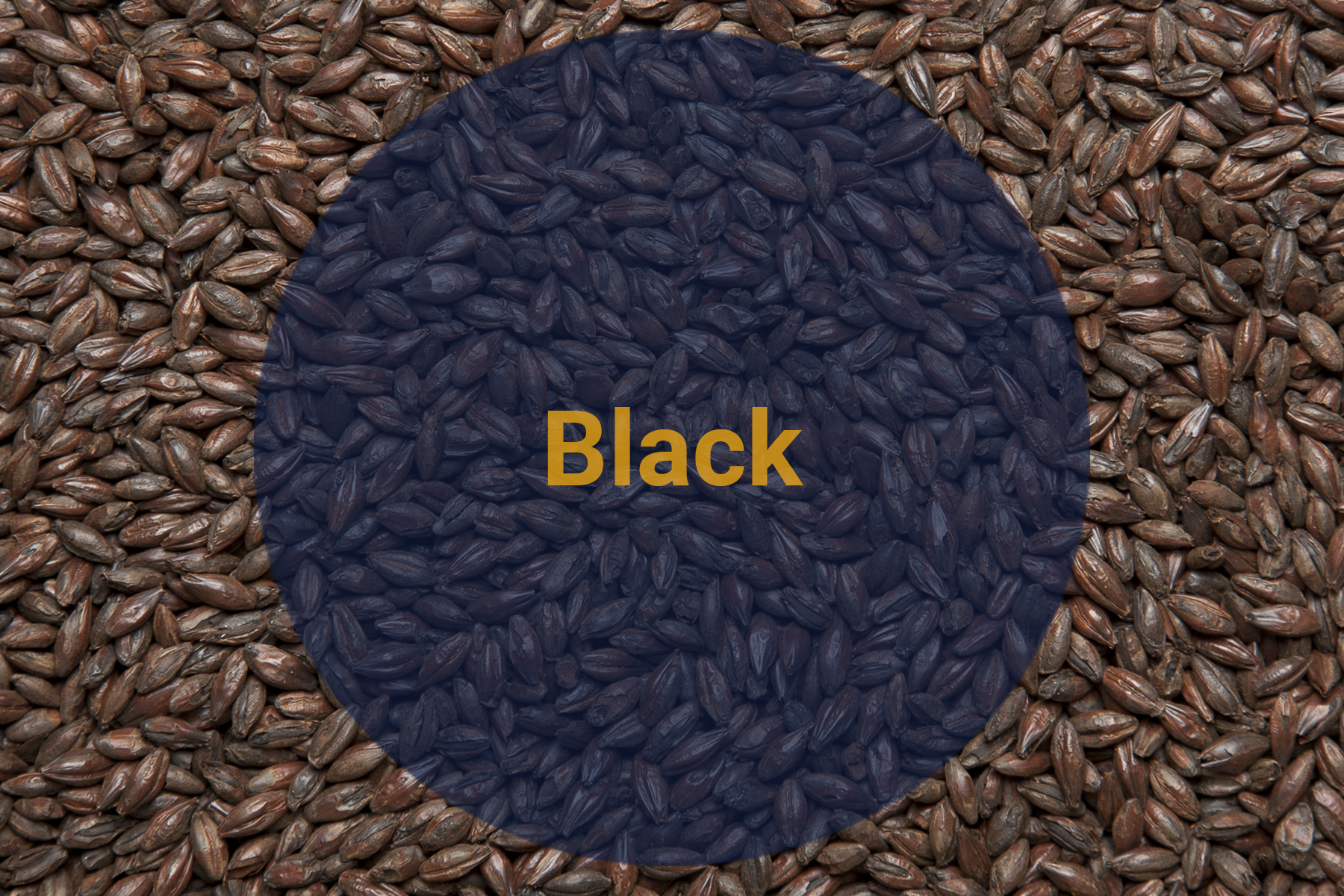 Солод Жженый Черный / Black, 1200-1400 EBC (Soufflet), 1 кг