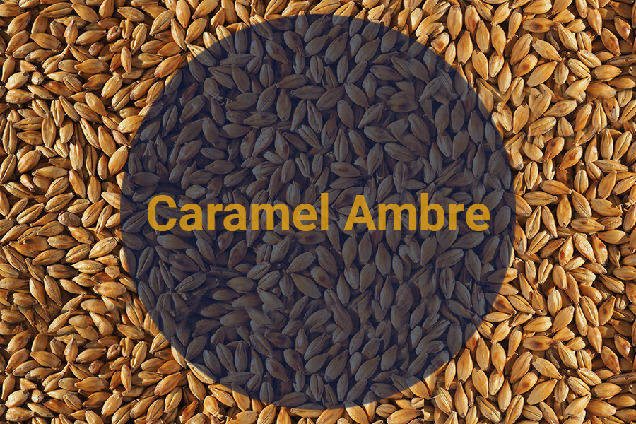 Солод Карамельный Янтарный / Caramel Ambre, 100-120 EBC (Soufflet),1 кг
